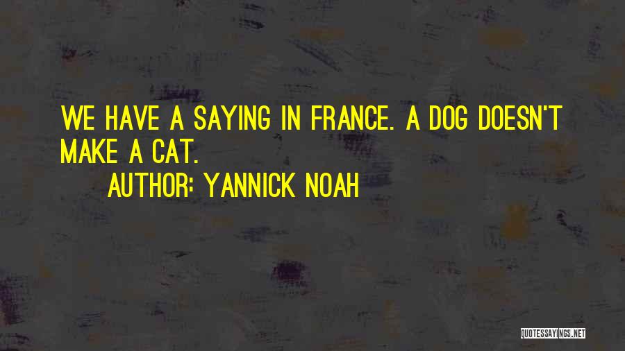 Yannick Noah Quotes: We Have A Saying In France. A Dog Doesn't Make A Cat.