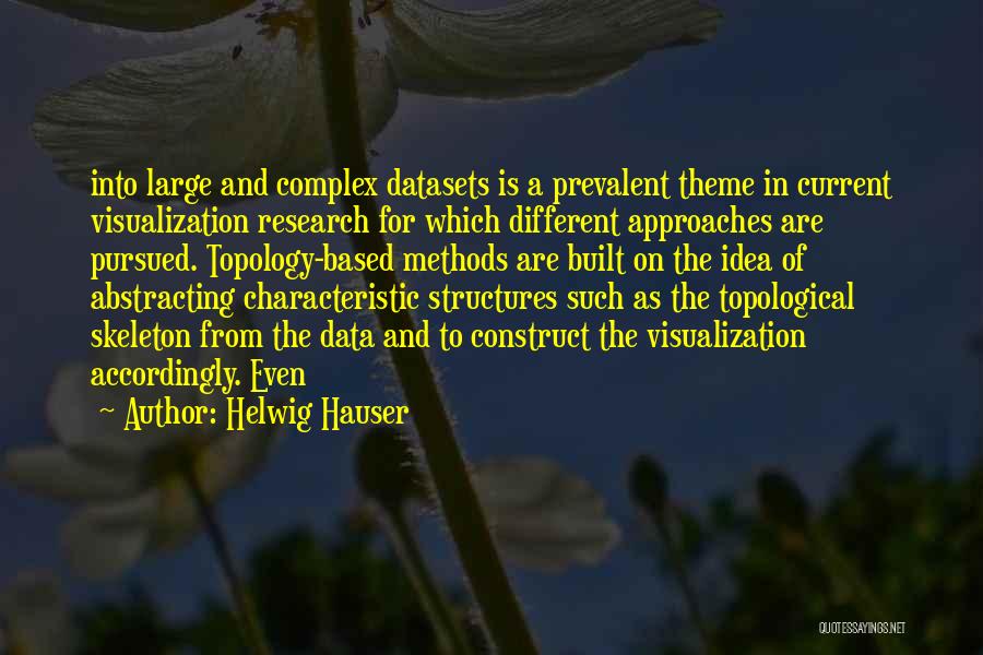 Helwig Hauser Quotes: Into Large And Complex Datasets Is A Prevalent Theme In Current Visualization Research For Which Different Approaches Are Pursued. Topology-based