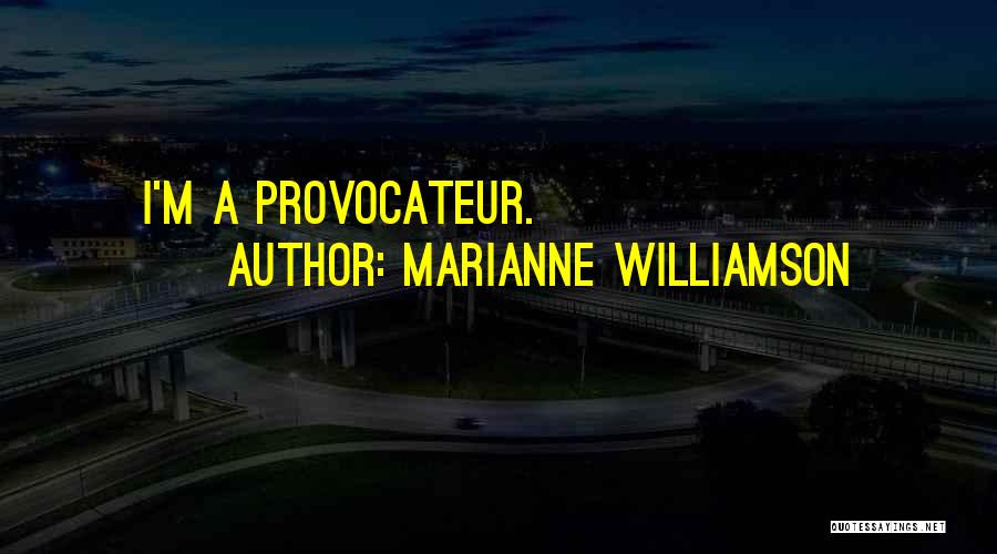 Marianne Williamson Quotes: I'm A Provocateur.