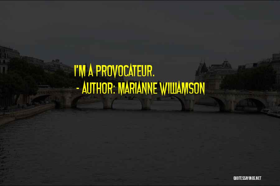 Marianne Williamson Quotes: I'm A Provocateur.