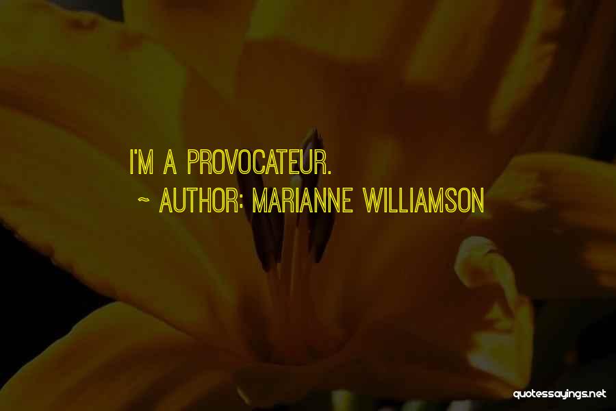 Marianne Williamson Quotes: I'm A Provocateur.