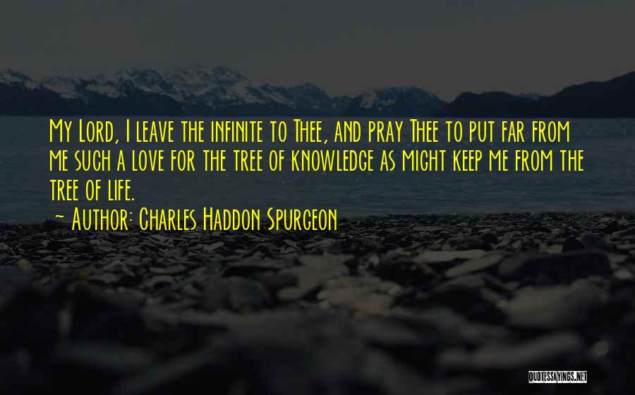 Charles Haddon Spurgeon Quotes: My Lord, I Leave The Infinite To Thee, And Pray Thee To Put Far From Me Such A Love For