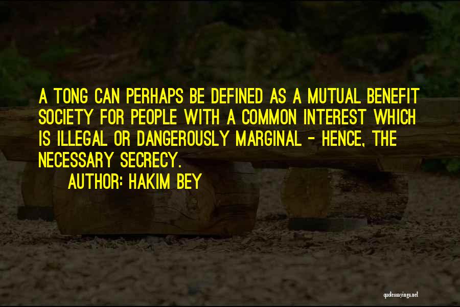 Hakim Bey Quotes: A Tong Can Perhaps Be Defined As A Mutual Benefit Society For People With A Common Interest Which Is Illegal