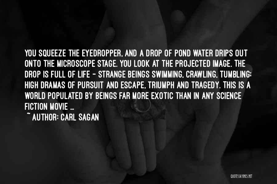 Carl Sagan Quotes: You Squeeze The Eyedropper, And A Drop Of Pond Water Drips Out Onto The Microscope Stage. You Look At The