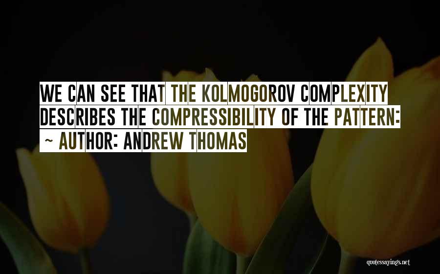 Andrew Thomas Quotes: We Can See That The Kolmogorov Complexity Describes The Compressibility Of The Pattern: