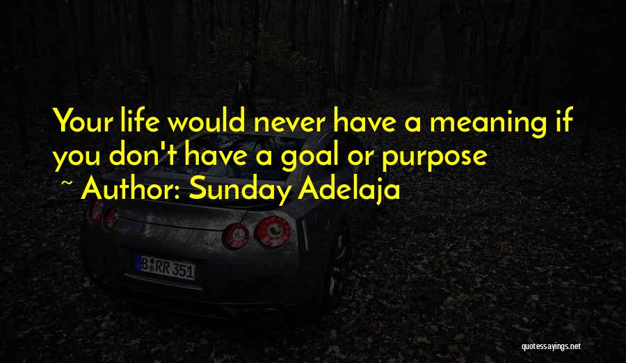 Sunday Adelaja Quotes: Your Life Would Never Have A Meaning If You Don't Have A Goal Or Purpose