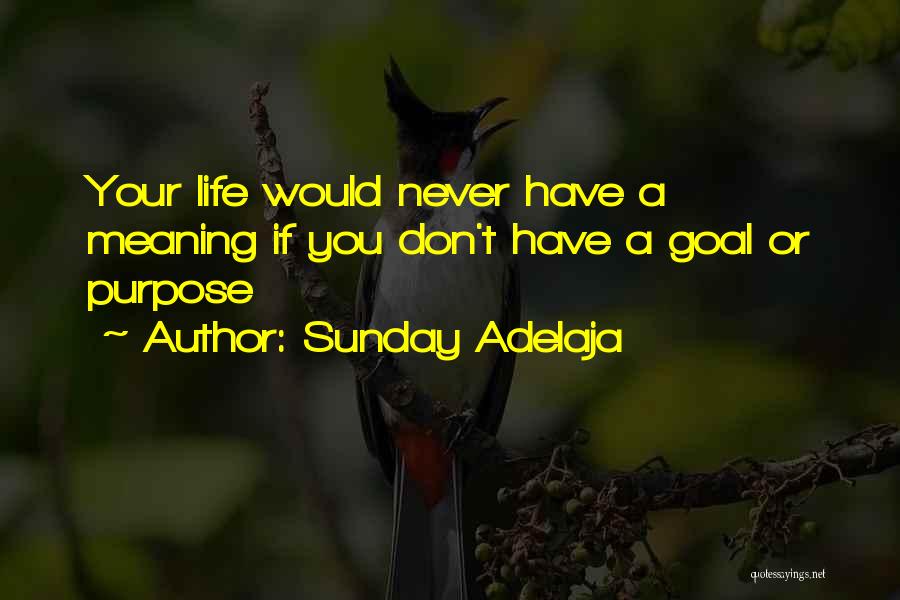 Sunday Adelaja Quotes: Your Life Would Never Have A Meaning If You Don't Have A Goal Or Purpose