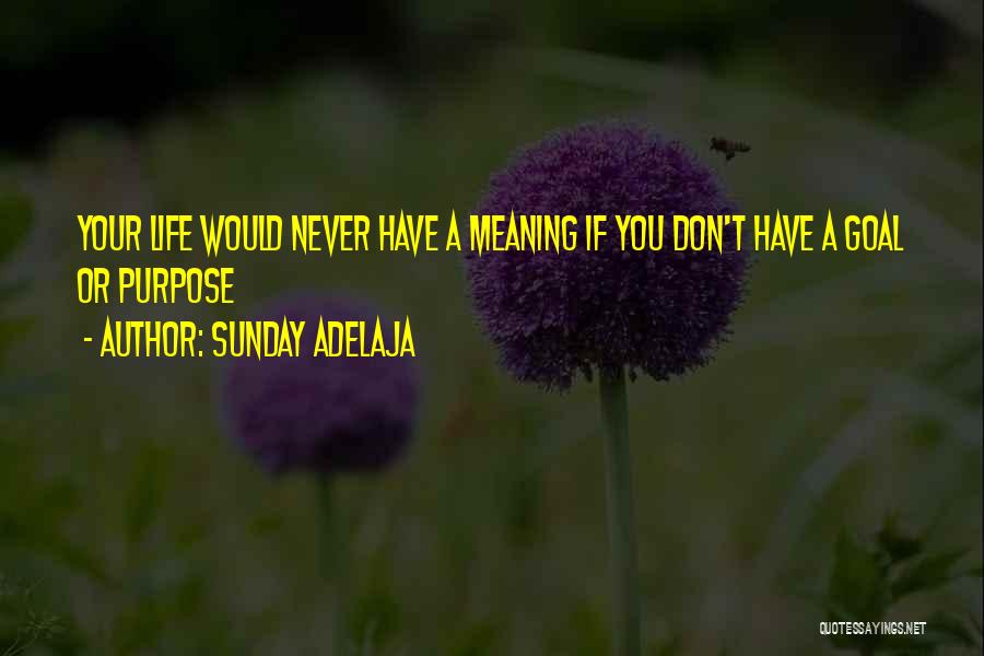 Sunday Adelaja Quotes: Your Life Would Never Have A Meaning If You Don't Have A Goal Or Purpose