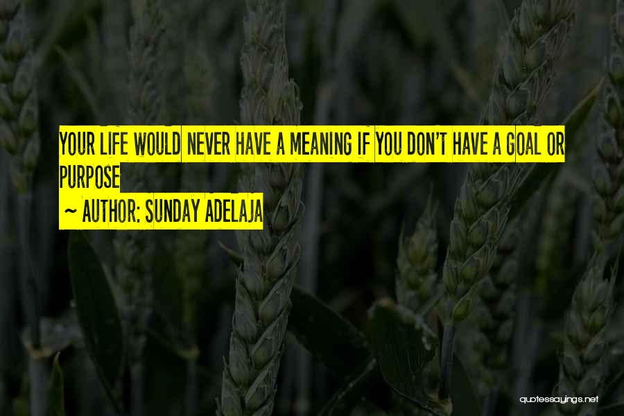 Sunday Adelaja Quotes: Your Life Would Never Have A Meaning If You Don't Have A Goal Or Purpose