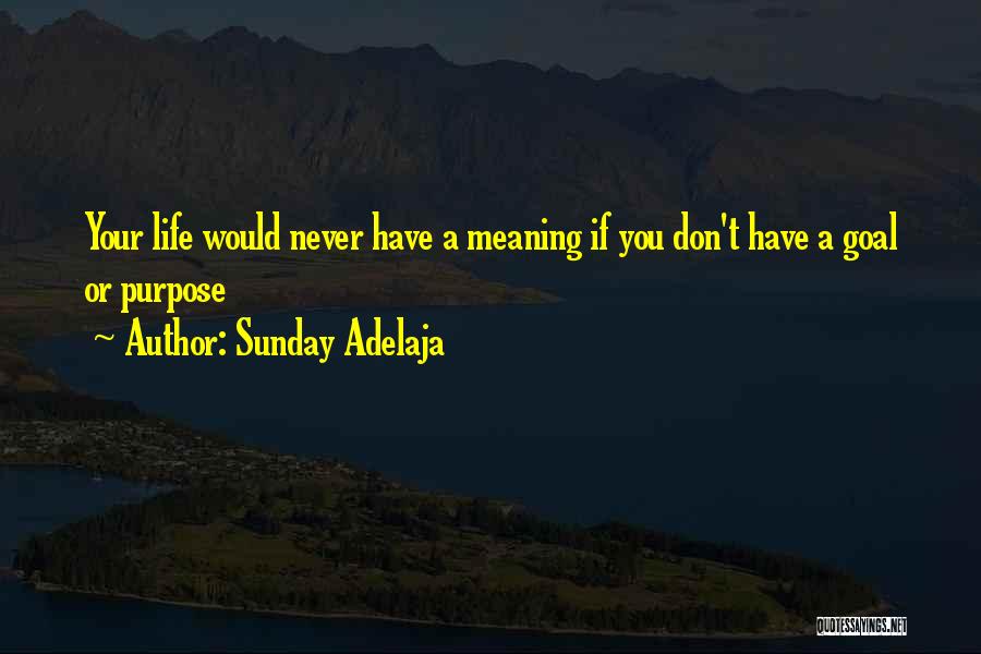 Sunday Adelaja Quotes: Your Life Would Never Have A Meaning If You Don't Have A Goal Or Purpose