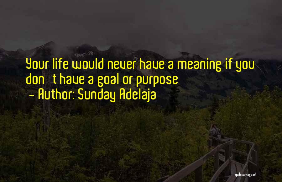 Sunday Adelaja Quotes: Your Life Would Never Have A Meaning If You Don't Have A Goal Or Purpose