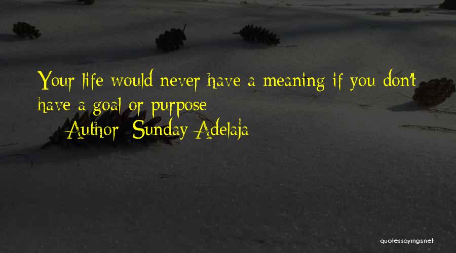 Sunday Adelaja Quotes: Your Life Would Never Have A Meaning If You Don't Have A Goal Or Purpose