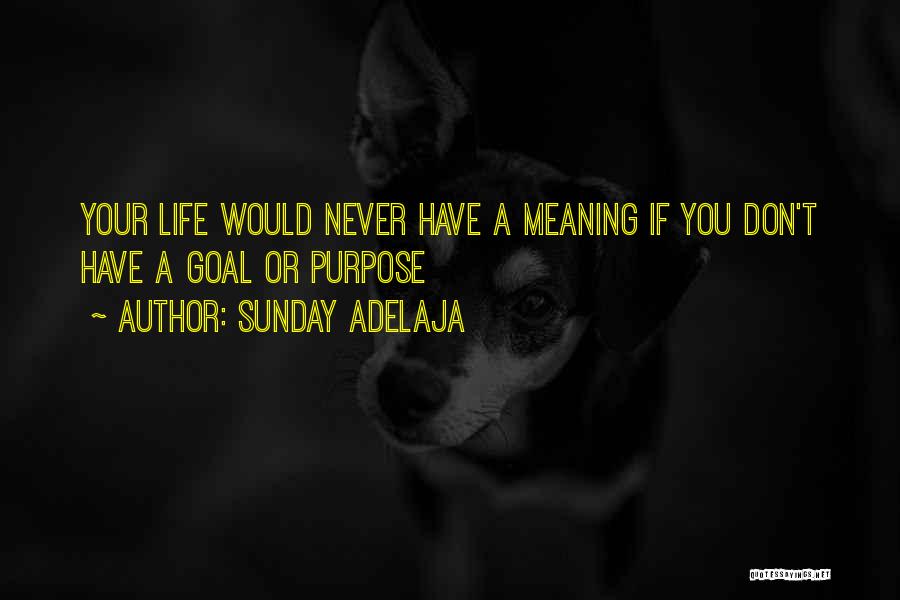 Sunday Adelaja Quotes: Your Life Would Never Have A Meaning If You Don't Have A Goal Or Purpose