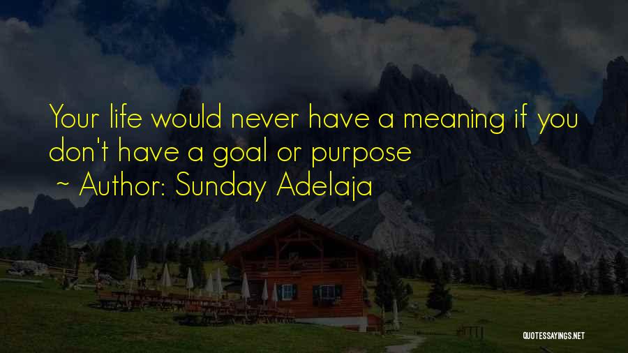 Sunday Adelaja Quotes: Your Life Would Never Have A Meaning If You Don't Have A Goal Or Purpose