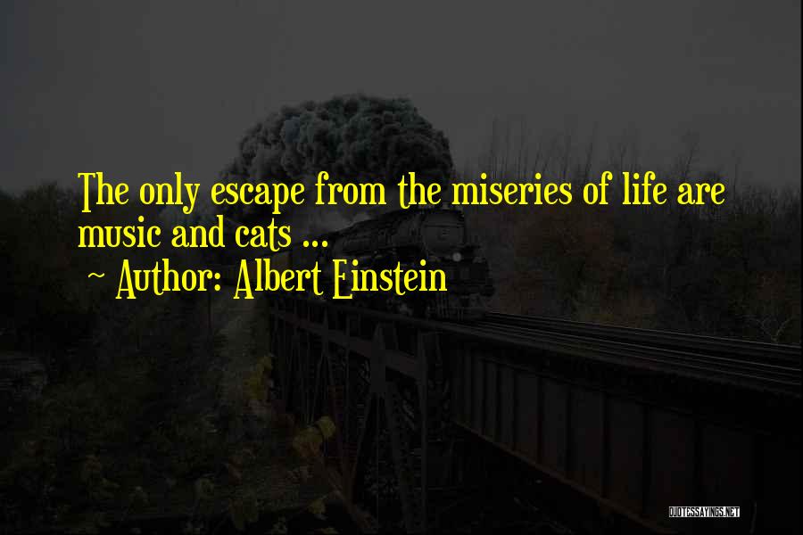 Albert Einstein Quotes: The Only Escape From The Miseries Of Life Are Music And Cats ...