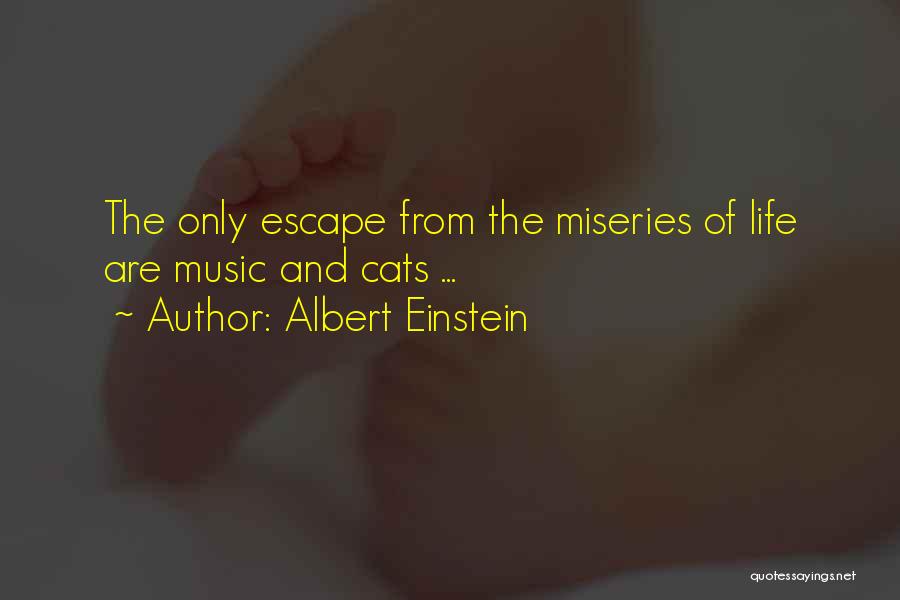 Albert Einstein Quotes: The Only Escape From The Miseries Of Life Are Music And Cats ...