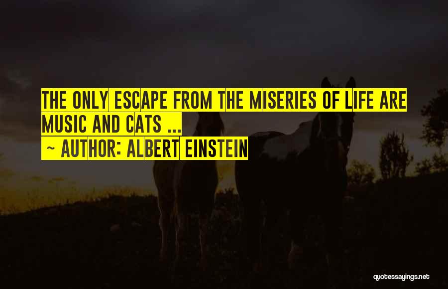 Albert Einstein Quotes: The Only Escape From The Miseries Of Life Are Music And Cats ...