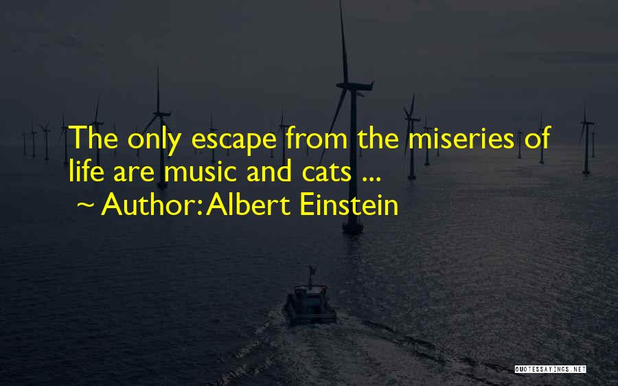 Albert Einstein Quotes: The Only Escape From The Miseries Of Life Are Music And Cats ...