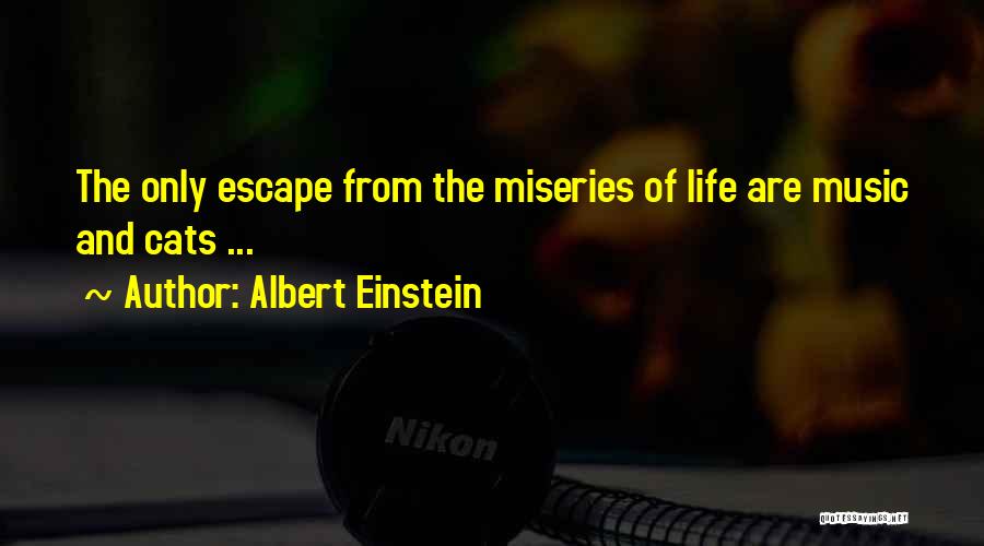 Albert Einstein Quotes: The Only Escape From The Miseries Of Life Are Music And Cats ...