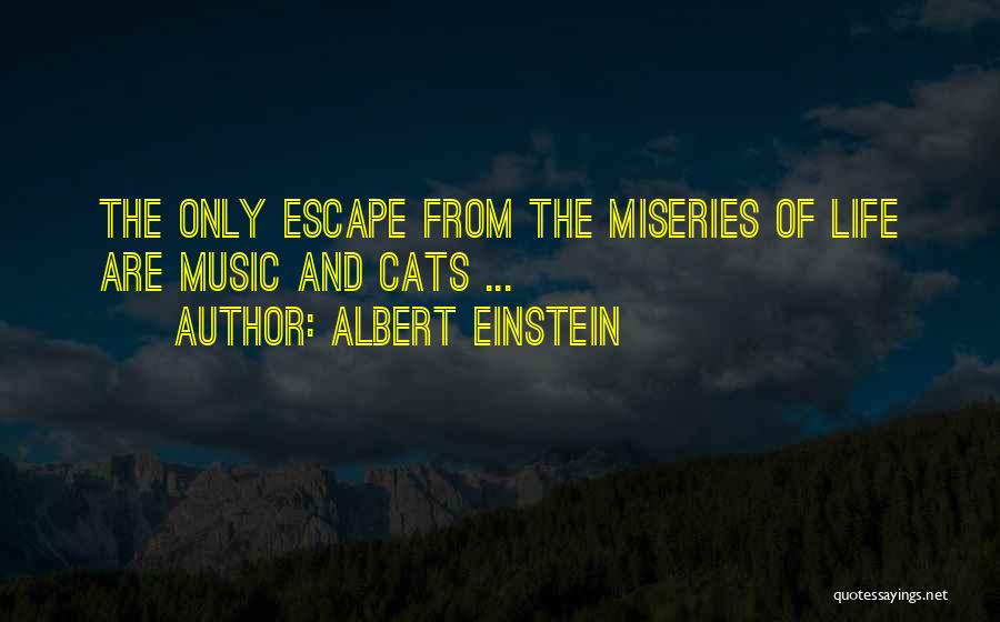 Albert Einstein Quotes: The Only Escape From The Miseries Of Life Are Music And Cats ...