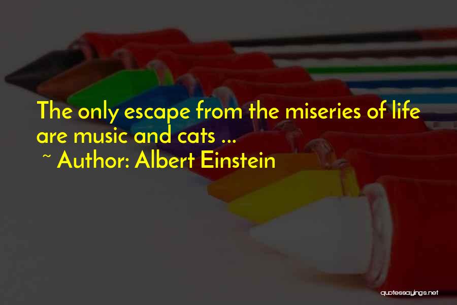 Albert Einstein Quotes: The Only Escape From The Miseries Of Life Are Music And Cats ...