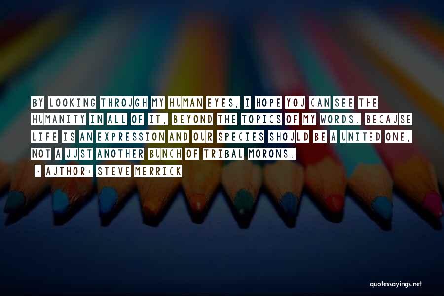 Steve Merrick Quotes: By Looking Through My Human Eyes, I Hope You Can See The Humanity In All Of It, Beyond The Topics