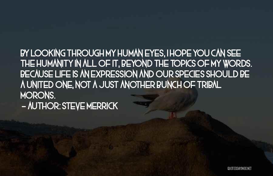 Steve Merrick Quotes: By Looking Through My Human Eyes, I Hope You Can See The Humanity In All Of It, Beyond The Topics