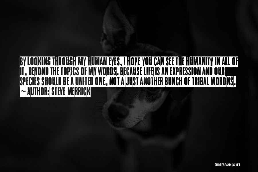 Steve Merrick Quotes: By Looking Through My Human Eyes, I Hope You Can See The Humanity In All Of It, Beyond The Topics