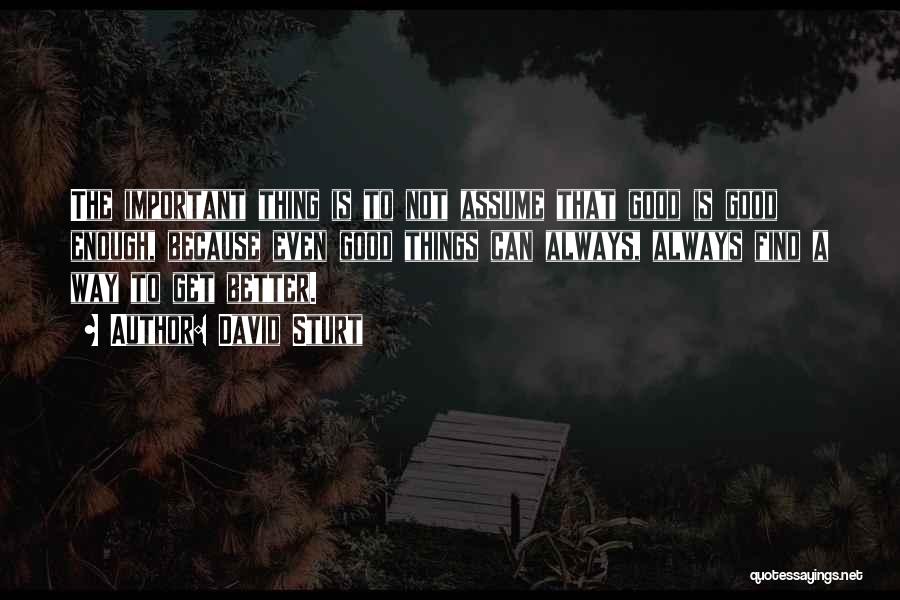 David Sturt Quotes: The Important Thing Is To Not Assume That Good Is Good Enough, Because Even Good Things Can Always, Always Find