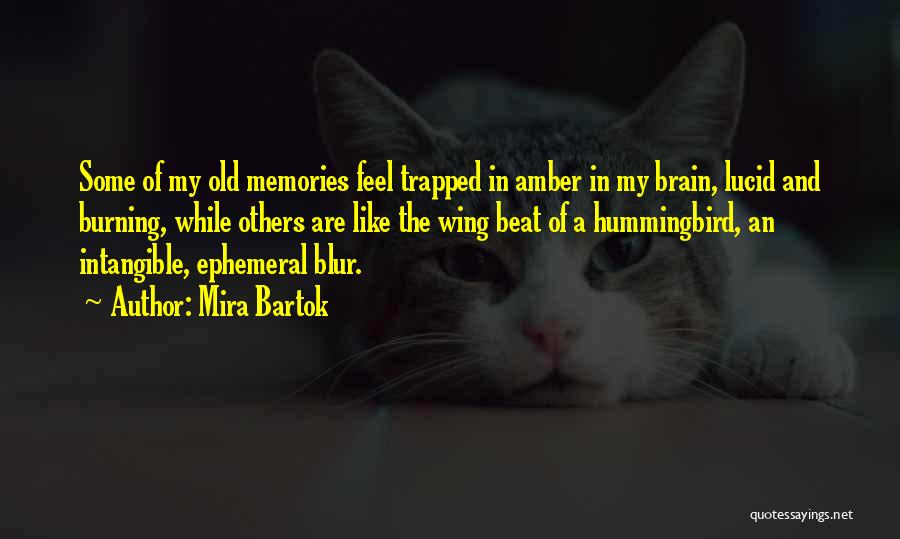 Mira Bartok Quotes: Some Of My Old Memories Feel Trapped In Amber In My Brain, Lucid And Burning, While Others Are Like The