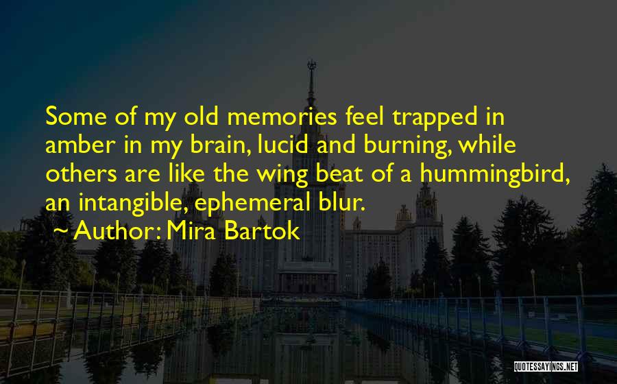 Mira Bartok Quotes: Some Of My Old Memories Feel Trapped In Amber In My Brain, Lucid And Burning, While Others Are Like The