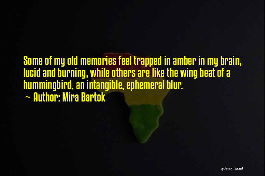 Mira Bartok Quotes: Some Of My Old Memories Feel Trapped In Amber In My Brain, Lucid And Burning, While Others Are Like The