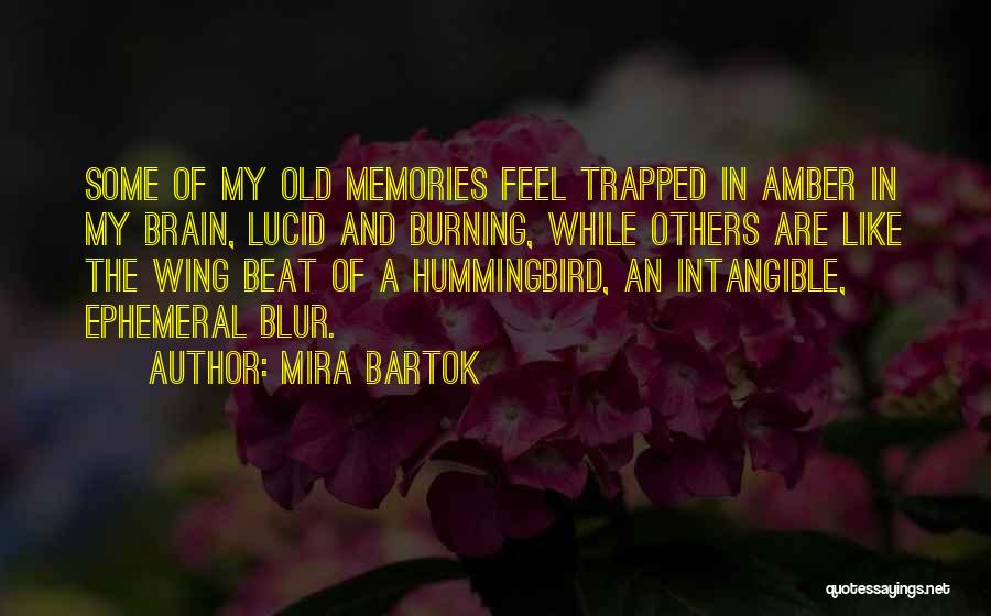 Mira Bartok Quotes: Some Of My Old Memories Feel Trapped In Amber In My Brain, Lucid And Burning, While Others Are Like The