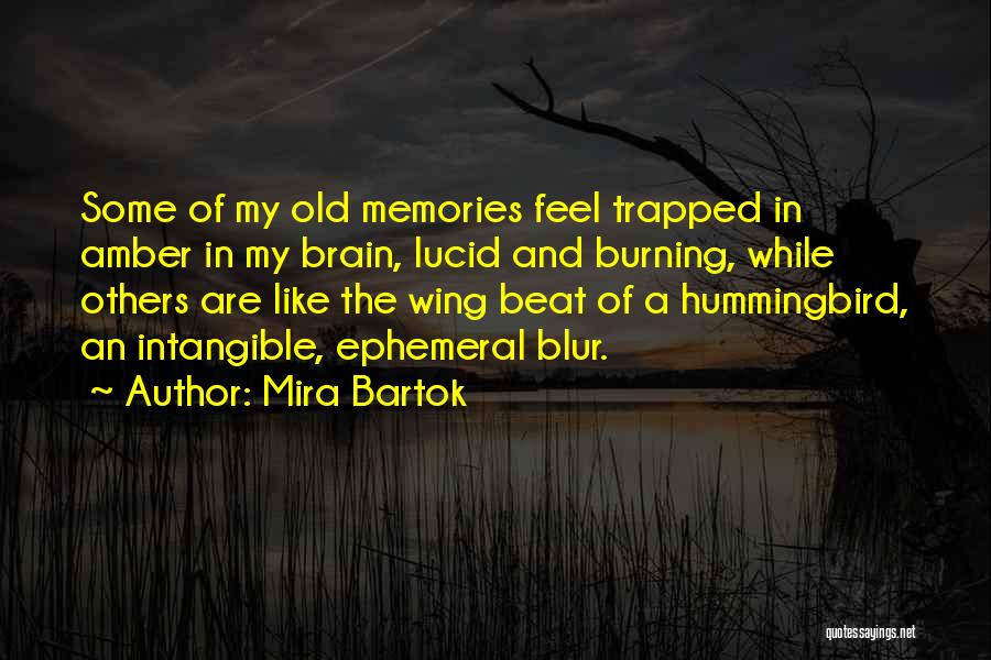 Mira Bartok Quotes: Some Of My Old Memories Feel Trapped In Amber In My Brain, Lucid And Burning, While Others Are Like The