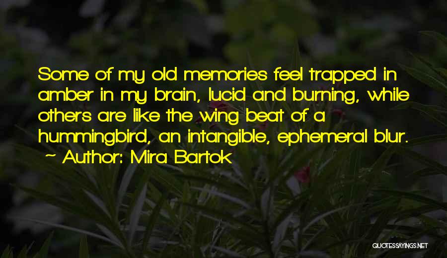 Mira Bartok Quotes: Some Of My Old Memories Feel Trapped In Amber In My Brain, Lucid And Burning, While Others Are Like The