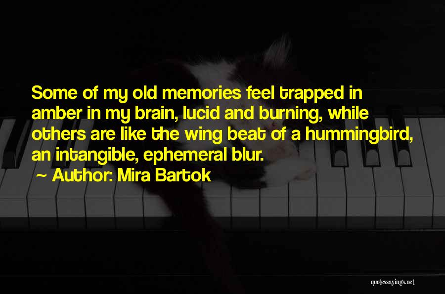 Mira Bartok Quotes: Some Of My Old Memories Feel Trapped In Amber In My Brain, Lucid And Burning, While Others Are Like The