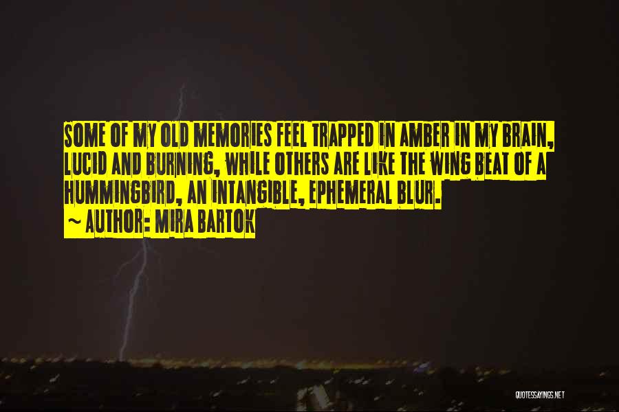 Mira Bartok Quotes: Some Of My Old Memories Feel Trapped In Amber In My Brain, Lucid And Burning, While Others Are Like The