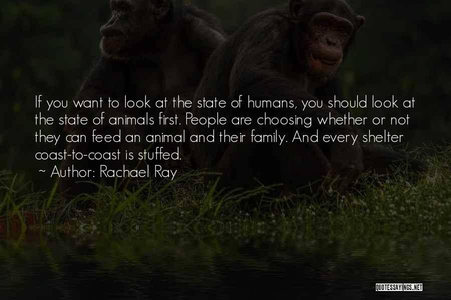 Rachael Ray Quotes: If You Want To Look At The State Of Humans, You Should Look At The State Of Animals First. People