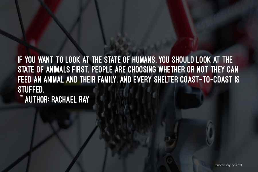 Rachael Ray Quotes: If You Want To Look At The State Of Humans, You Should Look At The State Of Animals First. People