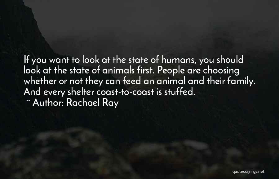 Rachael Ray Quotes: If You Want To Look At The State Of Humans, You Should Look At The State Of Animals First. People