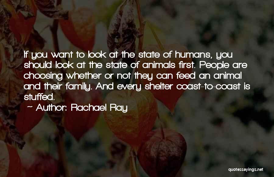 Rachael Ray Quotes: If You Want To Look At The State Of Humans, You Should Look At The State Of Animals First. People
