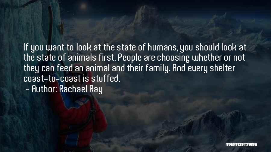 Rachael Ray Quotes: If You Want To Look At The State Of Humans, You Should Look At The State Of Animals First. People