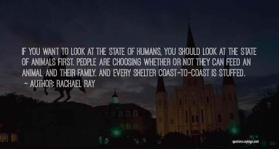 Rachael Ray Quotes: If You Want To Look At The State Of Humans, You Should Look At The State Of Animals First. People