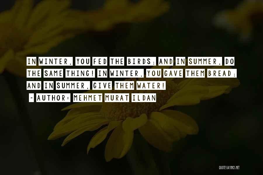 Mehmet Murat Ildan Quotes: In Winter, You Fed The Birds; And In Summer, Do The Same Thing! In Winter, You Gave Them Bread; And