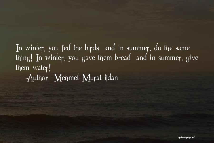 Mehmet Murat Ildan Quotes: In Winter, You Fed The Birds; And In Summer, Do The Same Thing! In Winter, You Gave Them Bread; And
