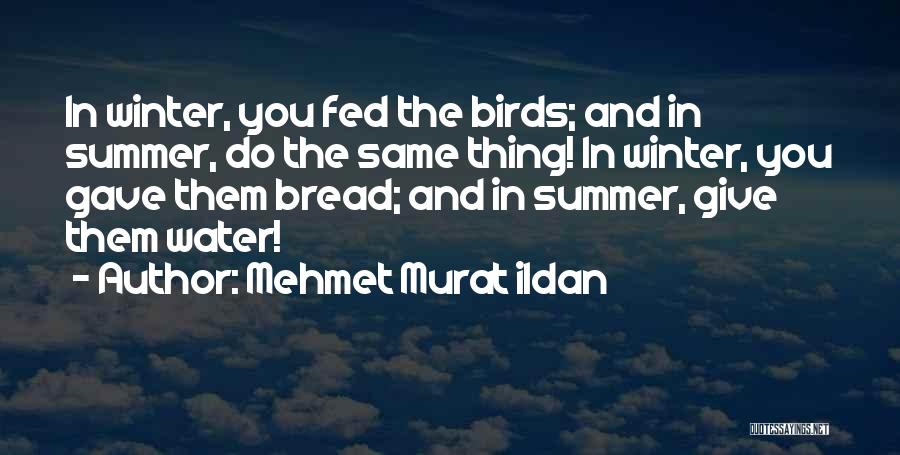 Mehmet Murat Ildan Quotes: In Winter, You Fed The Birds; And In Summer, Do The Same Thing! In Winter, You Gave Them Bread; And