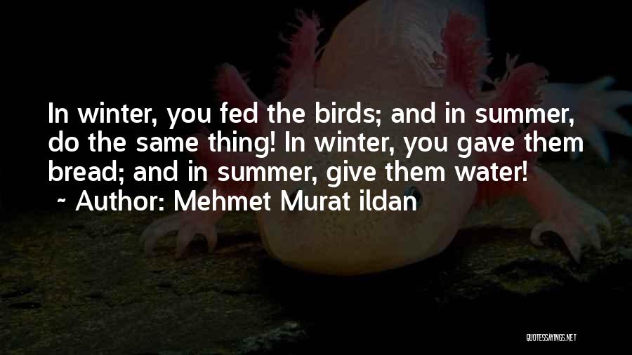 Mehmet Murat Ildan Quotes: In Winter, You Fed The Birds; And In Summer, Do The Same Thing! In Winter, You Gave Them Bread; And