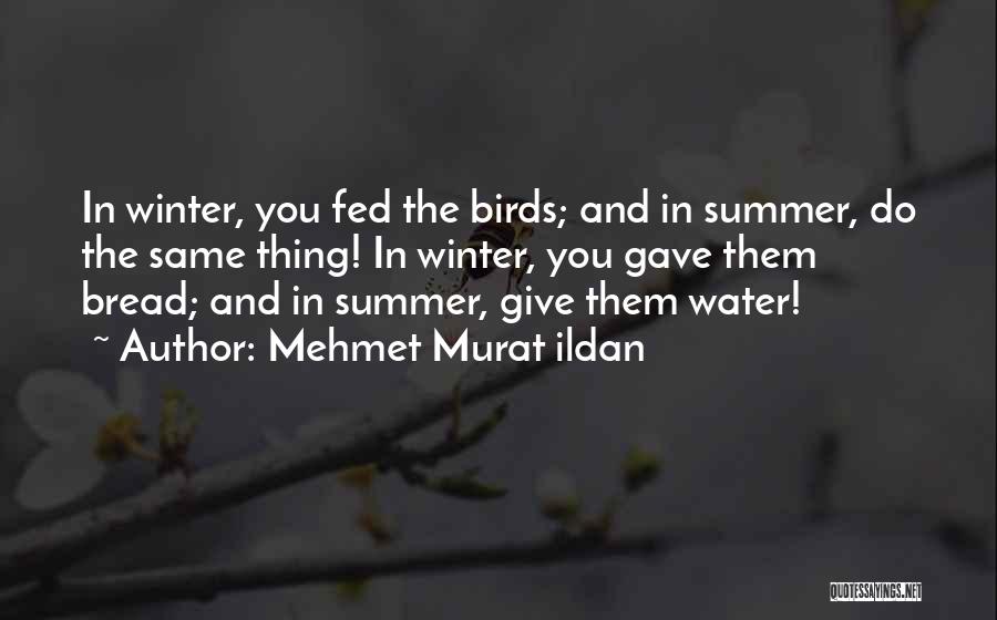 Mehmet Murat Ildan Quotes: In Winter, You Fed The Birds; And In Summer, Do The Same Thing! In Winter, You Gave Them Bread; And