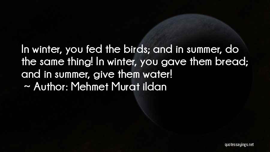 Mehmet Murat Ildan Quotes: In Winter, You Fed The Birds; And In Summer, Do The Same Thing! In Winter, You Gave Them Bread; And