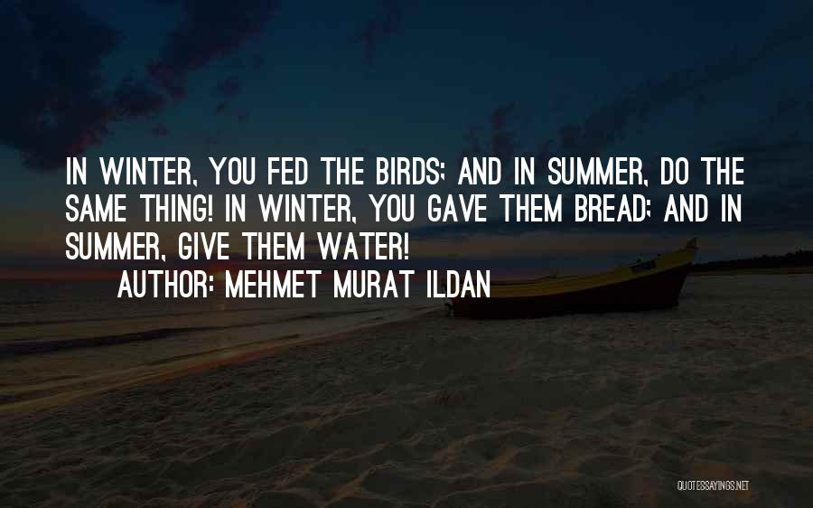 Mehmet Murat Ildan Quotes: In Winter, You Fed The Birds; And In Summer, Do The Same Thing! In Winter, You Gave Them Bread; And